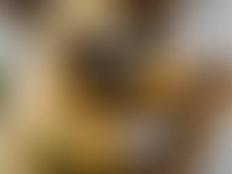 Expert Bee Removal Services: Keep Your Home Safe