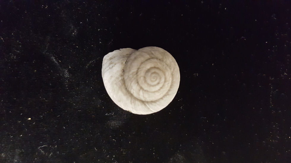 Boulder County ; #3916