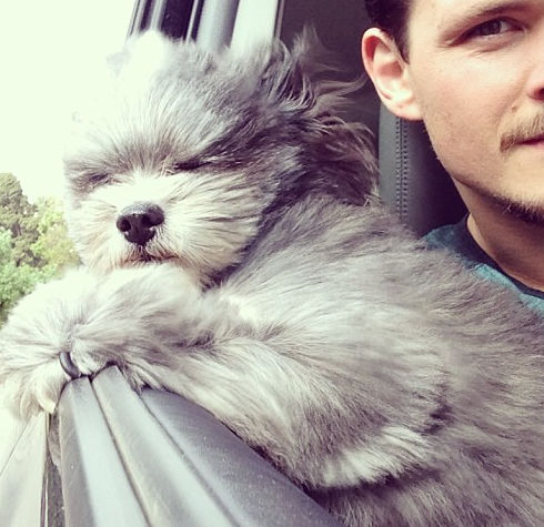 _chococarlita #cruisin