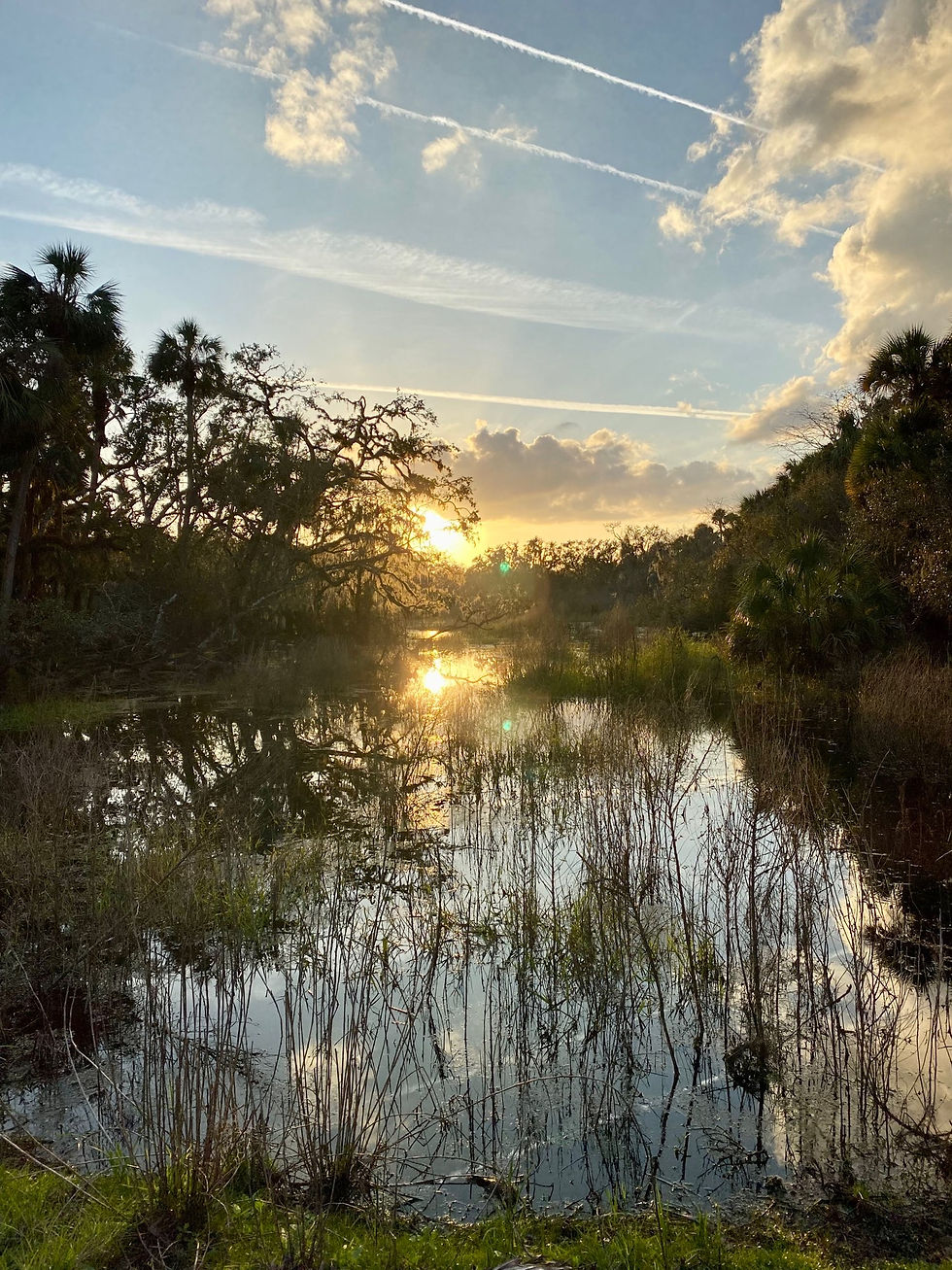 Myakka River State Park, FL: A Snowbird's Taste of Old Florida