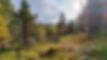 20190922_114032.jpg