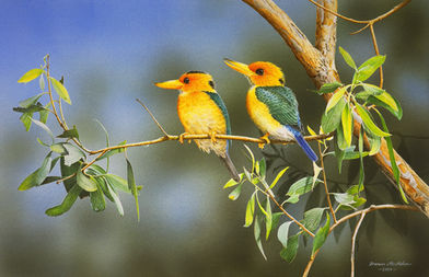 kingfishers (low res).jpg