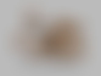 Employer Branding Conference 2018 Sofia