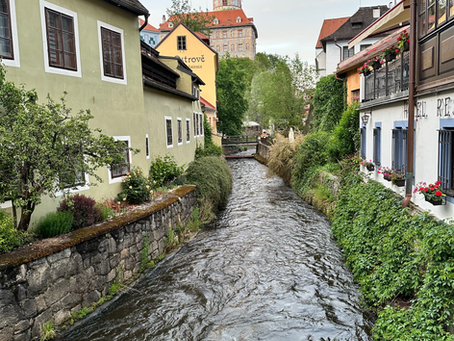 Wenn das Gefühl bleibt, nicht zu genügen