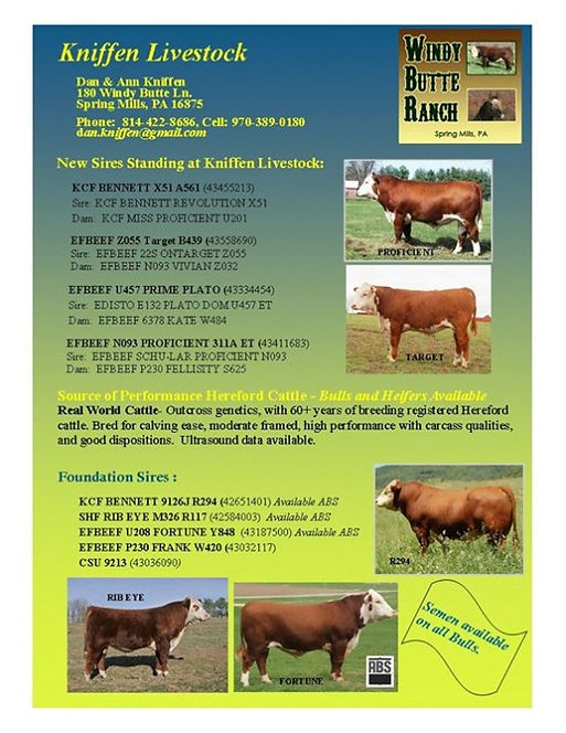 I%20only%20have%207%20horses%20and%20look%20at%20how%20many%20bulls%20Dan%20has______edited.jpg