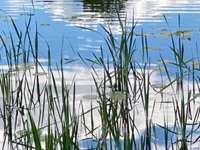 Vikten av reflektion och samtal