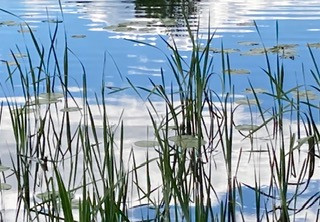 Vikten av reflektion och samtal