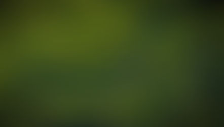 Meta de áreas protegidas e conservadas é alcançada mas ainda é preciso melhoras