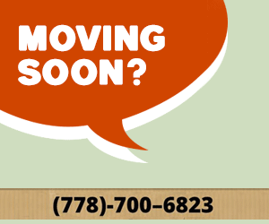 Truck N a Guy digital display ad