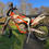 Thumbnail: KTM 250R 2014 Road Legal 
