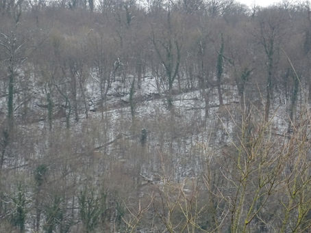               La côte du bateau .