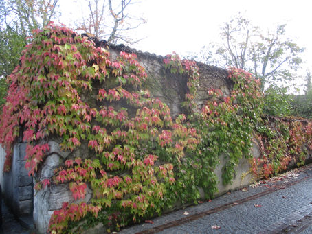 Liverdun : couleurs d'automne .