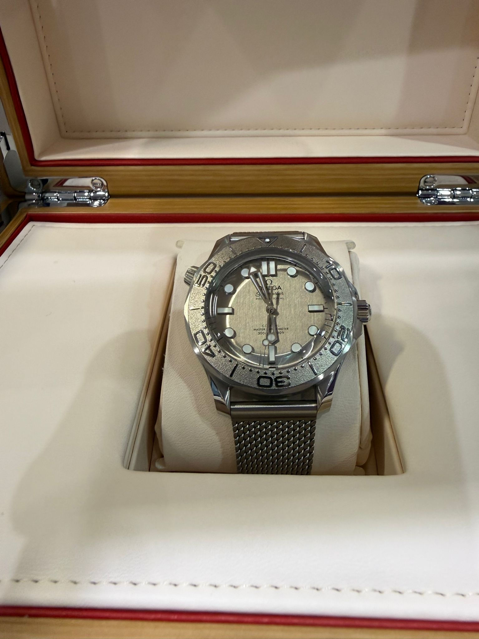 Omega Seamaster 300 Titanium Co-Axial Watch