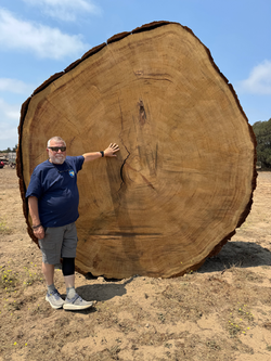Brian and Ancient Giant Sequoia Cookie