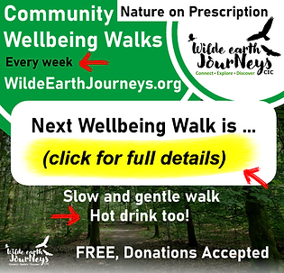 WEJ-Designs-Adverts.pngWalks CLick for details.png