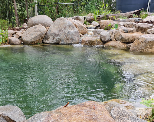 Organic Pools QLD – Sustainable Swimming Solutions for Queensland Homes