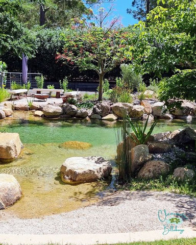 Cabarlah Project - Eco Billabongs Natural Pools