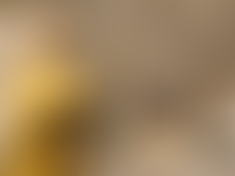 A Letter from Fr. Steffy: A Reflection on Stewardship, Hospitality, and Hope