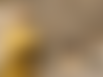 A Letter from Fr. Steffy: A Reflection on Stewardship, Hospitality, and Hope