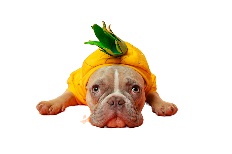 Pineapple head__edited.png