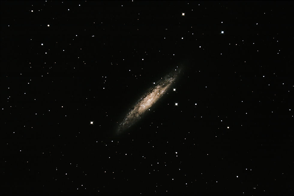 Galáxia do Escultor (NGC 253)