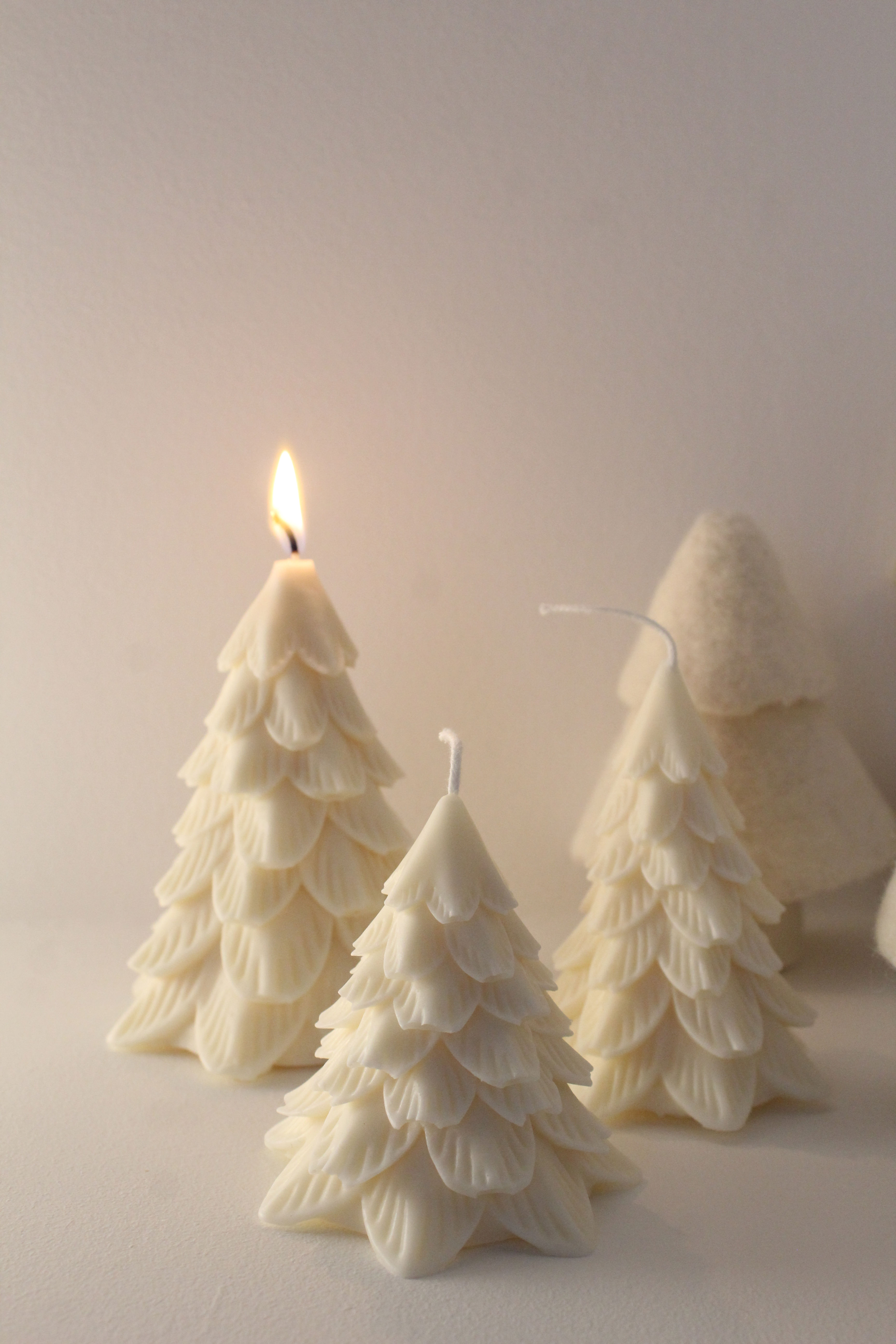 Bougies Melchior - Sapins épurés