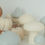 Miniature : Bougies Champignons - Set de 6 bougies