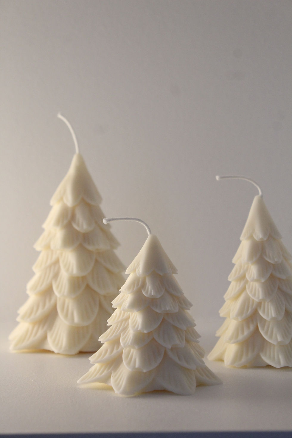 Miniature : Bougies  Melchior - Sapins épurés