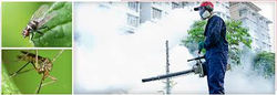 Mosquito Control.jpg