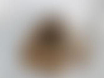 


いよいよ始まる介護実習生