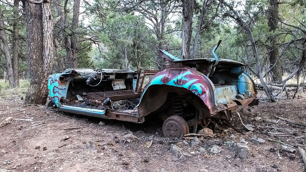 Graffiti car in the campus woods