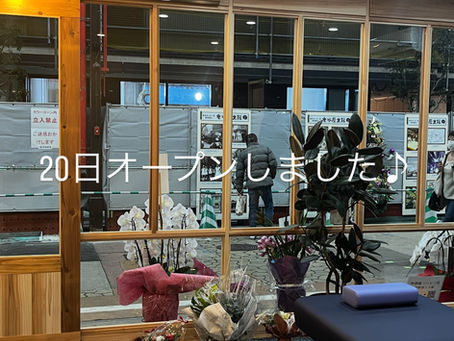 12月20日　ようやく始まる