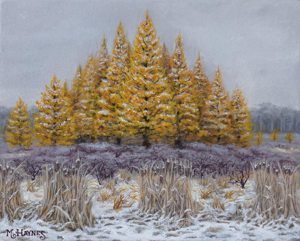 Haynes_GoldenMoment_8x10.jpg