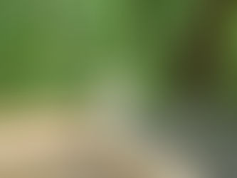 あけび 貸切コテージ