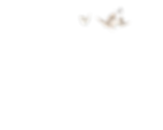 buterflies for wreath_edited.png