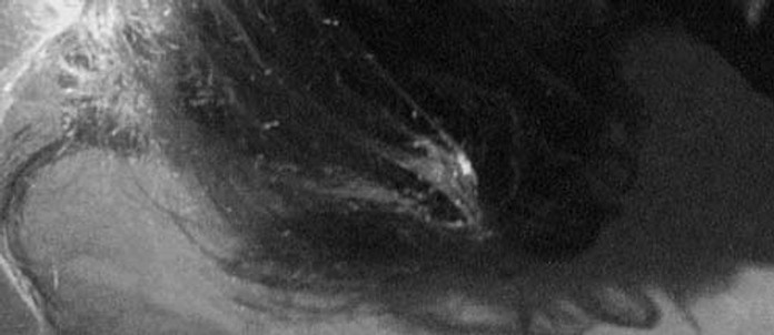 ACONTECEU AMANHA.jpg