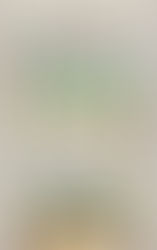 Raised-Bed and Container Gardening Made Simple: 6 Easy Steps For Beginners