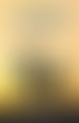 BLENDED FAMILY - A Guide for Stepparents: Seven Unsuspecting Attitudes that are Seriously Toxic to S