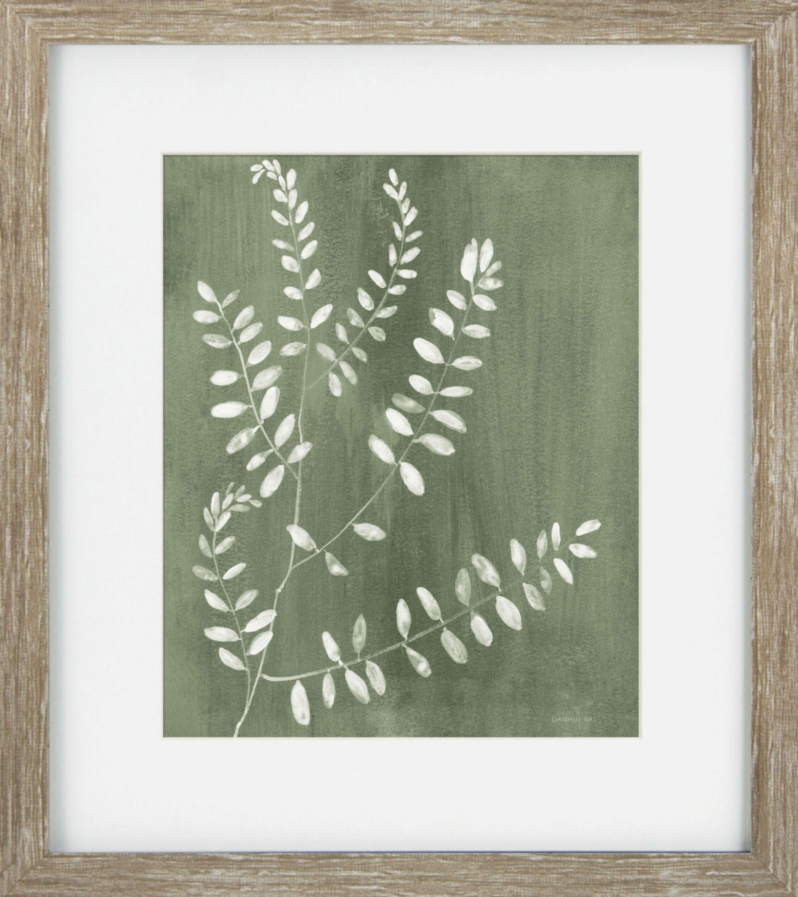 ‘Sage Botanicals II’ by Danhui Nai 34x30cm