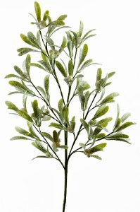 ARTIFICIAL MISTLETOE SPRIGS 24"

