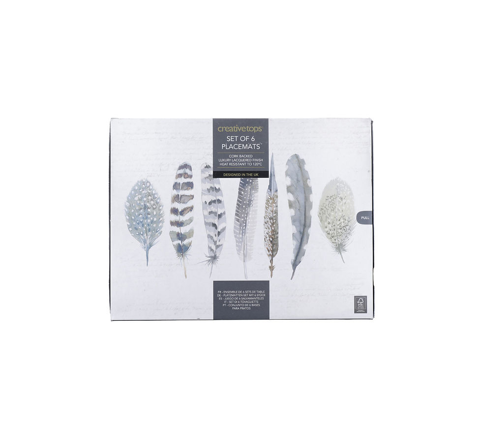 Thumbnail: Creative Tops Feathers Premium Placemats 6pk