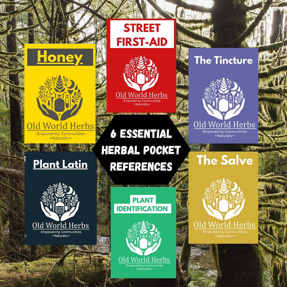 Digital Zine Pack: Top 6 Humanitarian Essential Knowledge Zine Pack