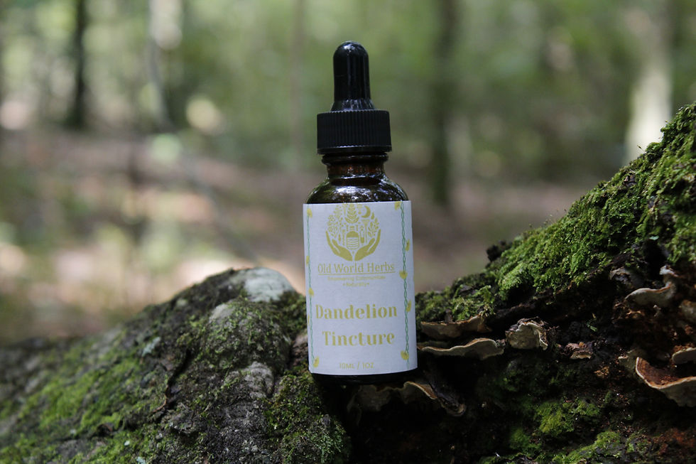 Dandelion Top Tincture