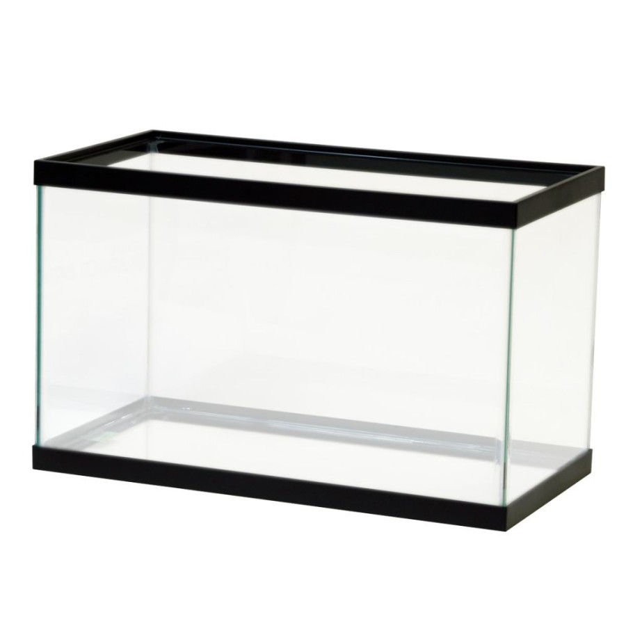 Open Top Glass Aquarium Front View
