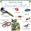 Thumbnail: Grasslands Scavenger Hunts