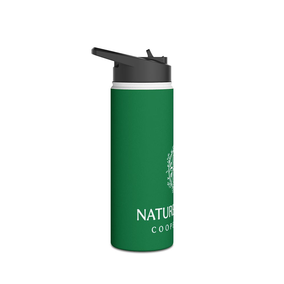 Miniatura: Stainless Steel Water Bottle, Standard Lid