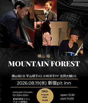 Mountain Forest.jpg