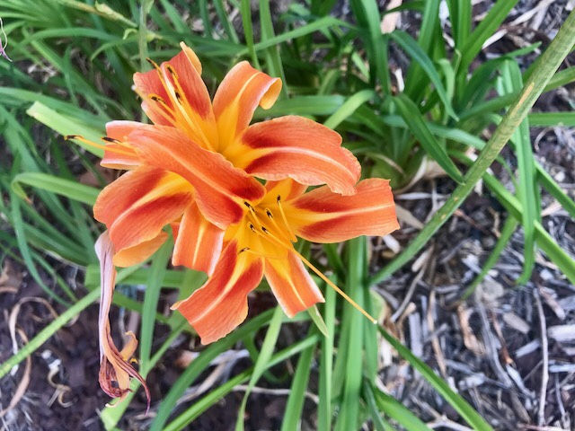 FullSizeRender 2