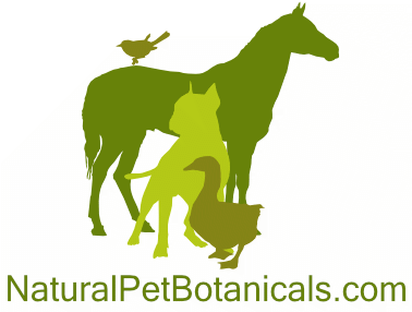 www.naturalpetbotanicalsusa.com favicon