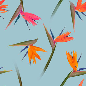 Jonas Seamless Pattern